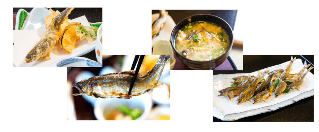 魚安様の料理